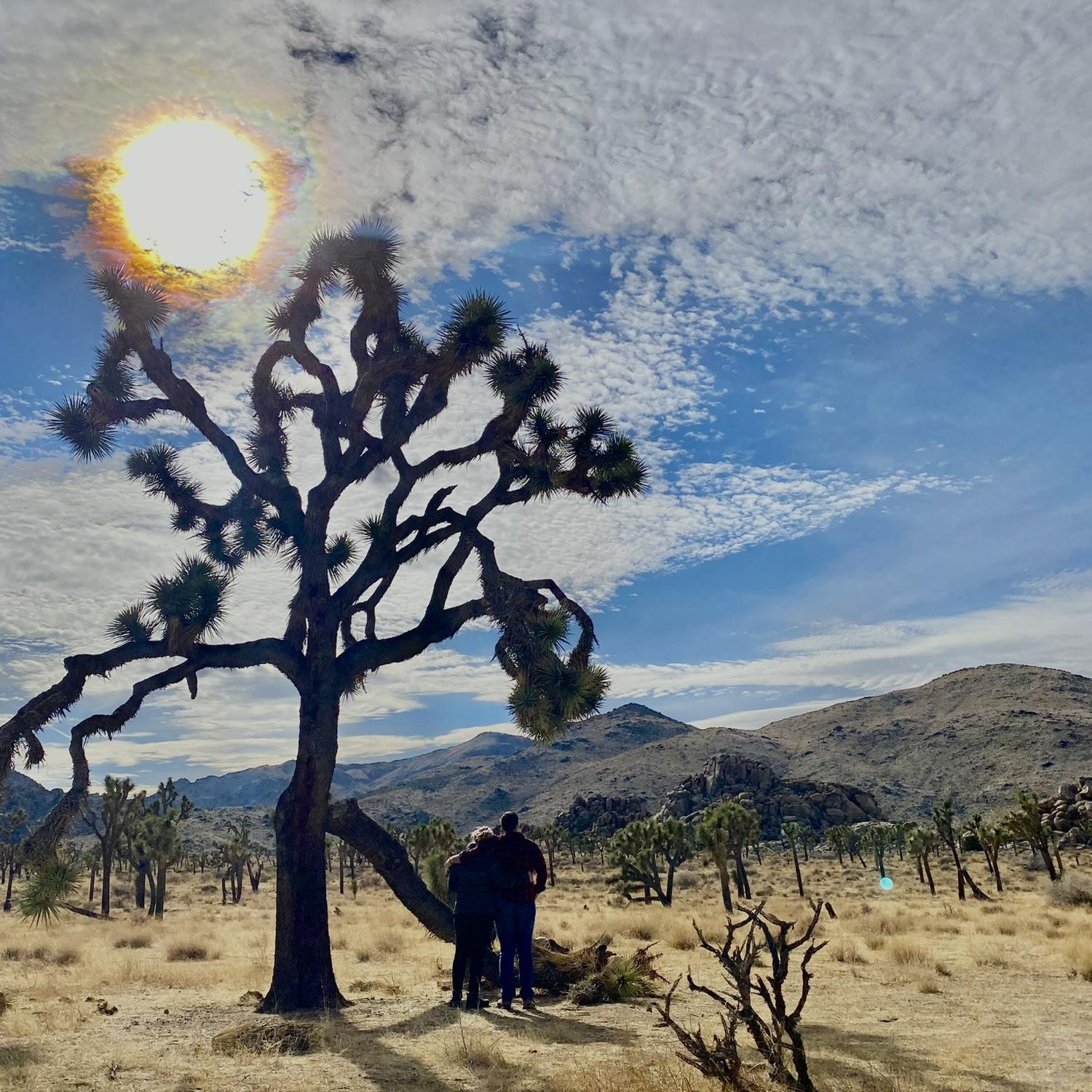 Joshua Tree, CA
