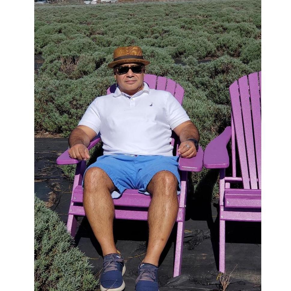 Lavender Fields 2021