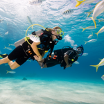 SCUBA DIVING BALI with NICO DIVES COOL BALI