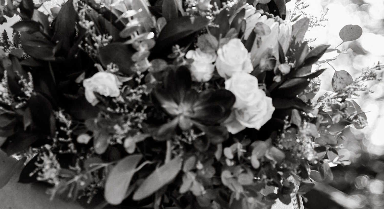 Footer image