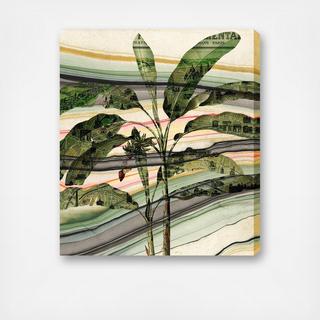 Bananera Canvas Art