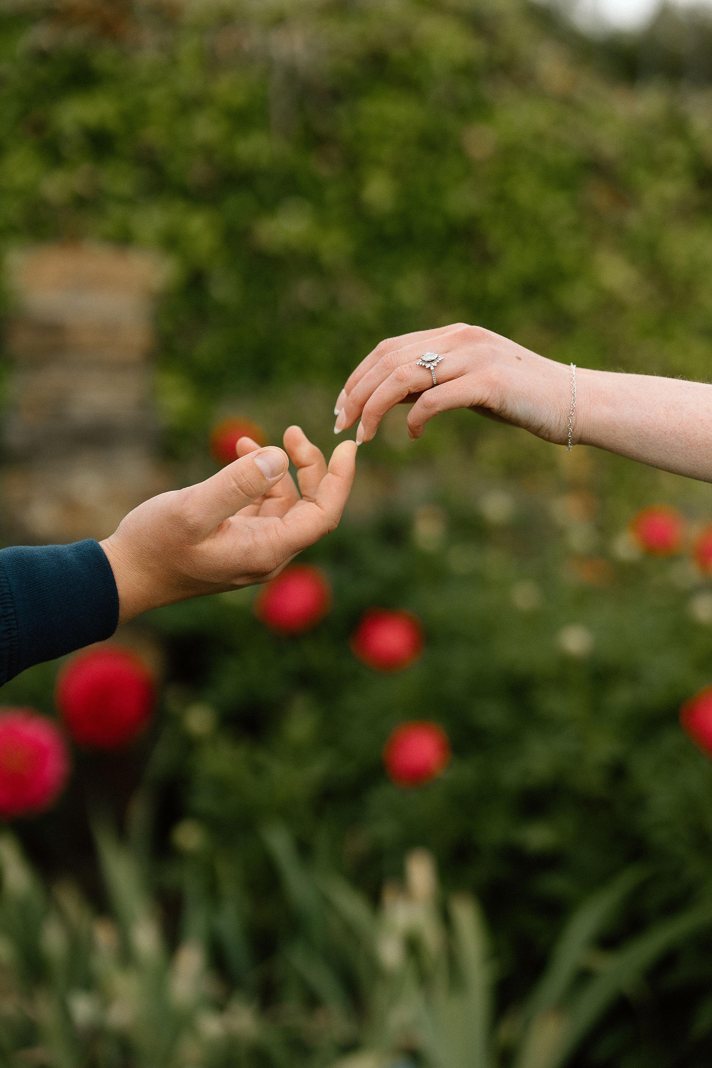 The Wedding Website of Maria Johnson and William Nogay