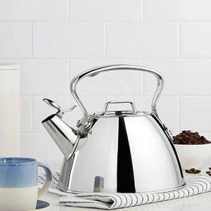 Stainless Steel Tea Kettle
