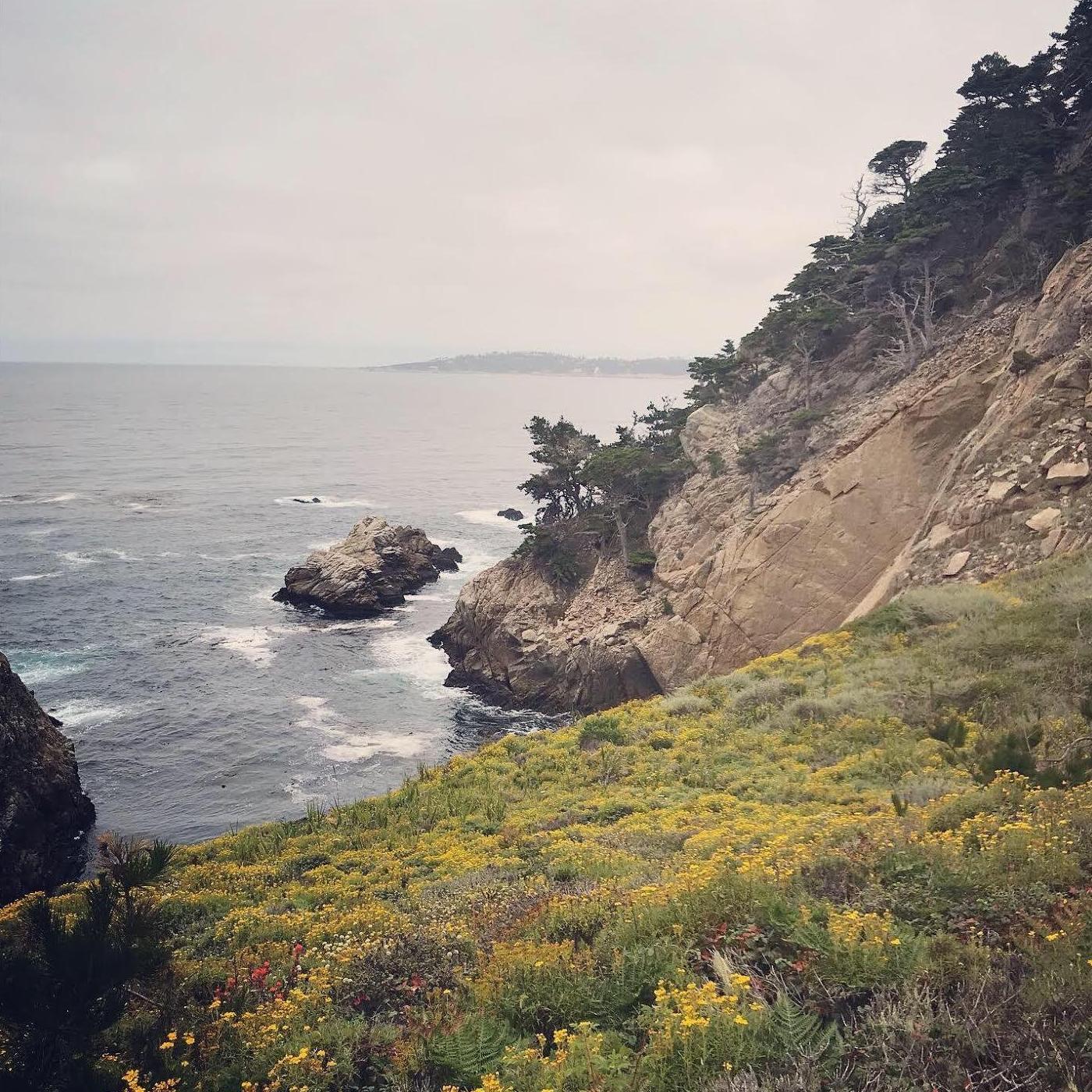 Point Lobos State Park was one of the most beautiful hikes on our baby moon.