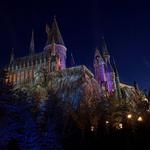 The Wizarding World of Harry Potter