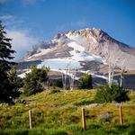 Timberline Lodge / Mt. Hood