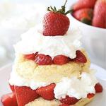 Florida Strawberry Festival