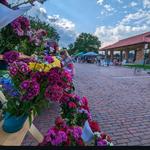 Saturday Morning Farmers Market