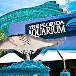 The Florida Aquarium