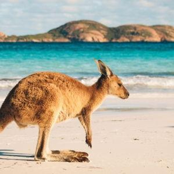Australia Honeymoon Fund