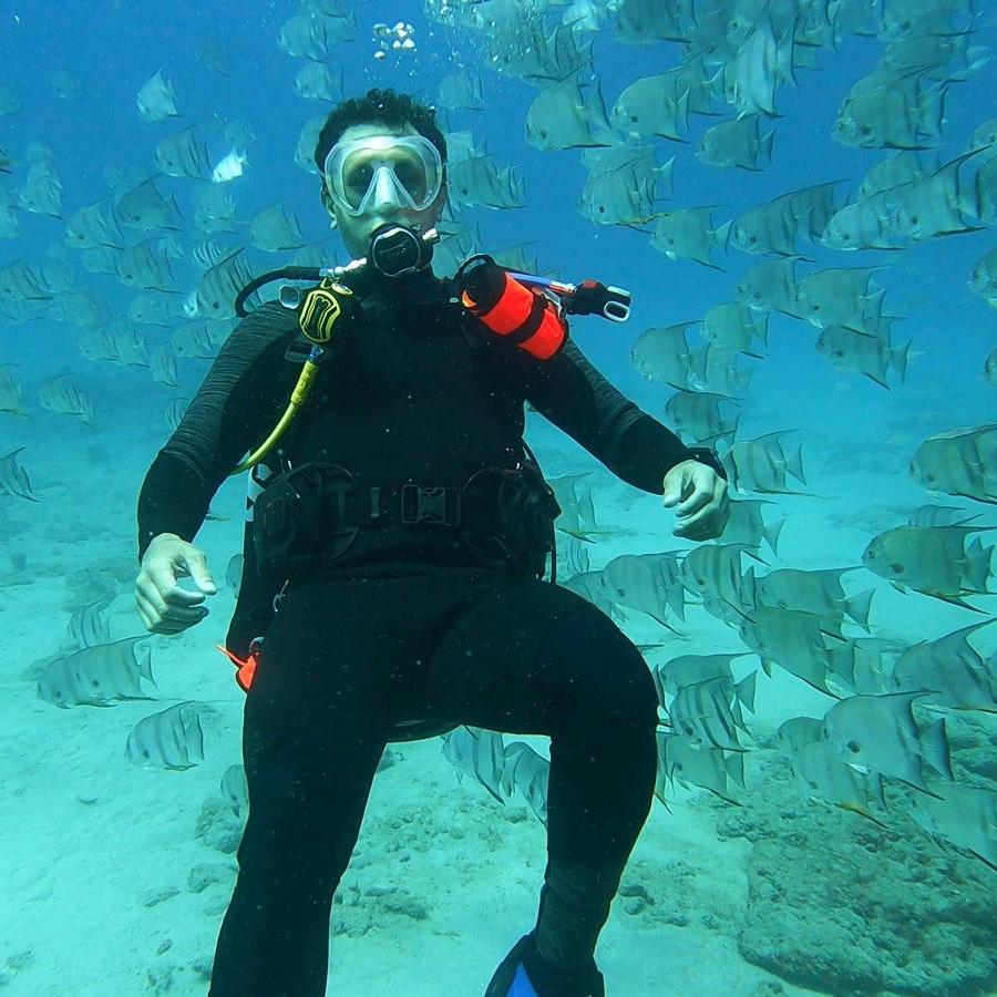 Couple Diving