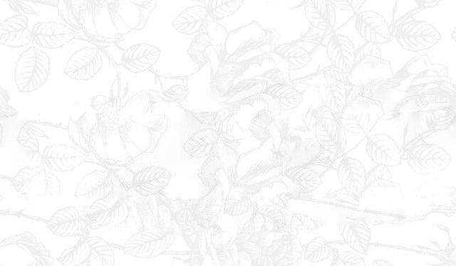 The Wedding Website of Bailie Miller and Will Clark