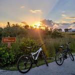 Shark Valley Tram & Bike Tours