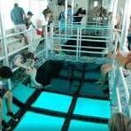 Glass Bottom Boat Tours