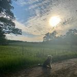Carhan Farm