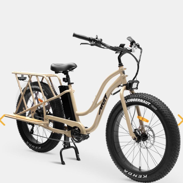 Murf E Bike