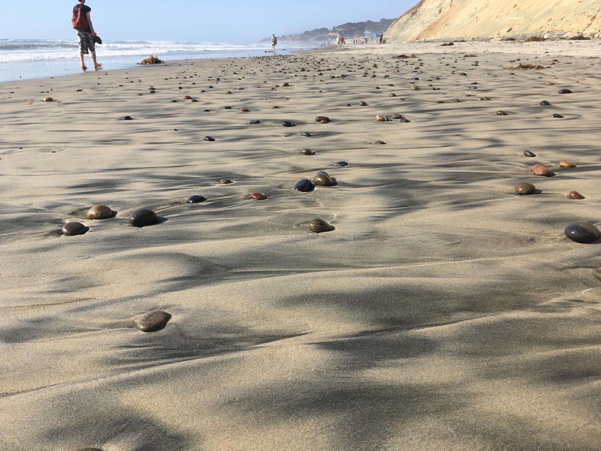 26c4bedb-8cf5-4c1f-b44a-87972e769256