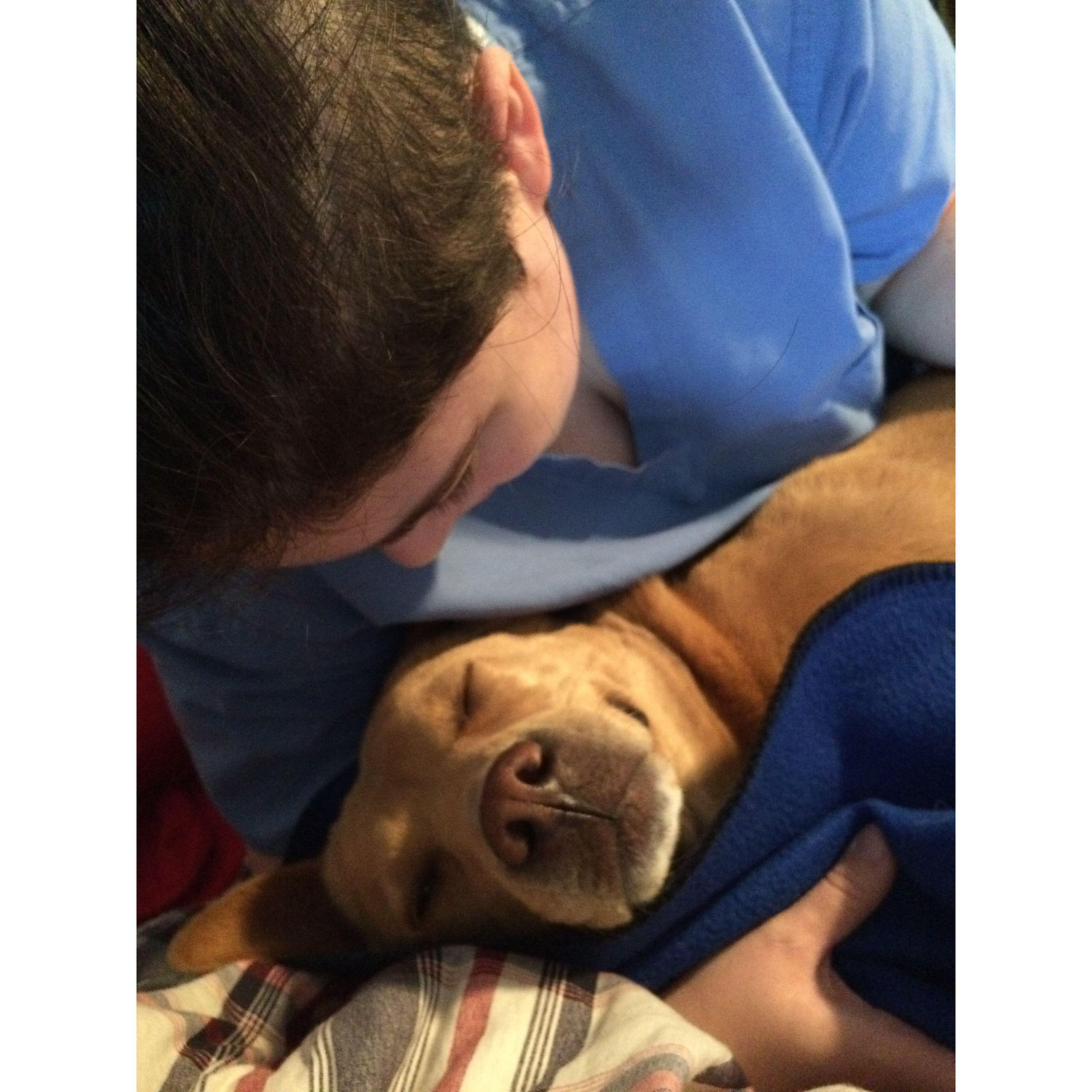 Cuddle Puddles