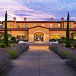 Domaine Serene Winery