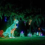 City Park Celebration in the Oaks