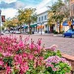 Downtown Winter Park