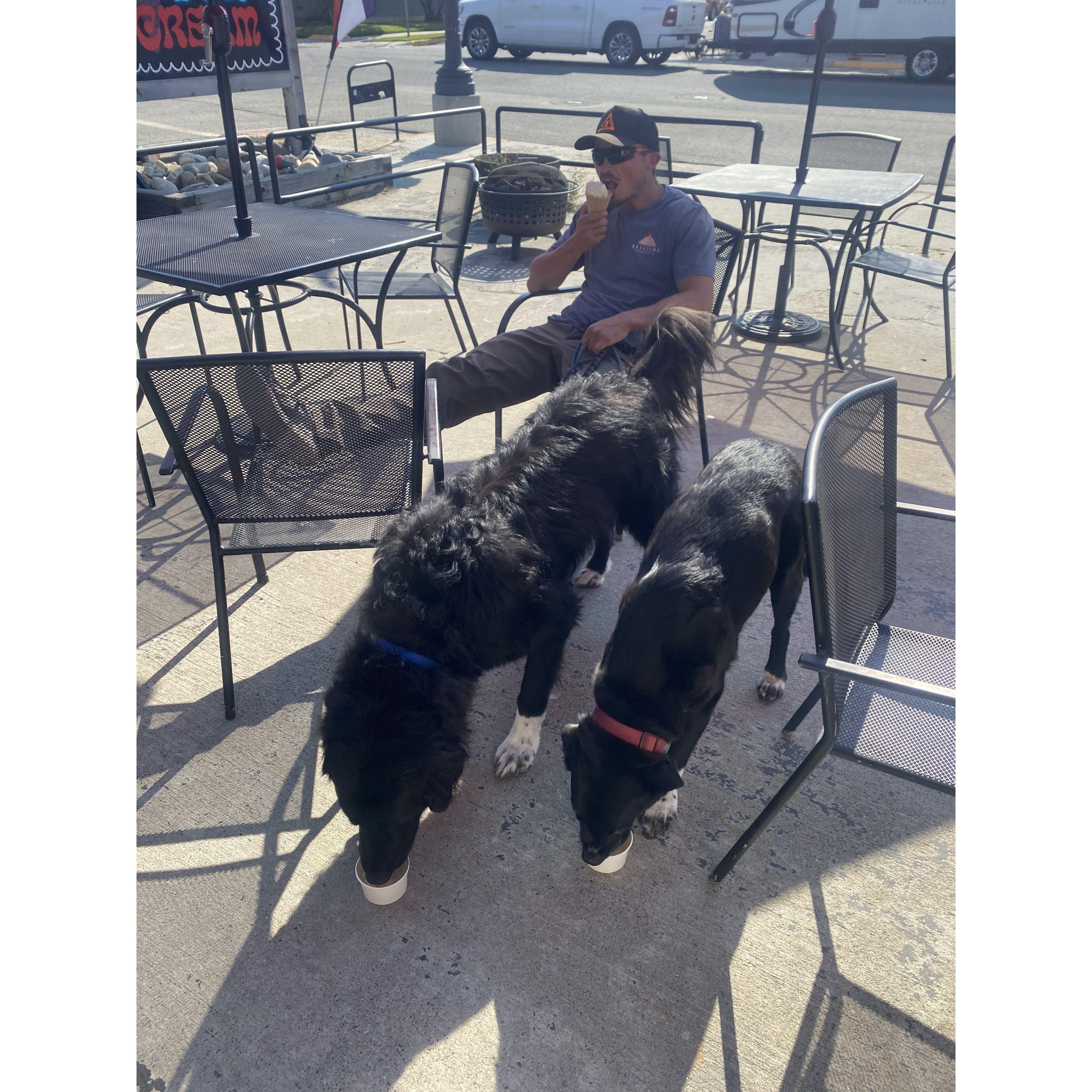 we all scream for ice cream