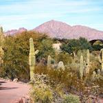 Desert Botanical Garden