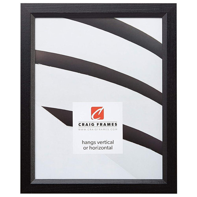 Craig Frames 7171610BK Wood Grain Finish 16 by 21-Inch Picture/Poster Frame, 0.825-Inch Wide, Solid Black