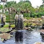Naples Botanical Garden