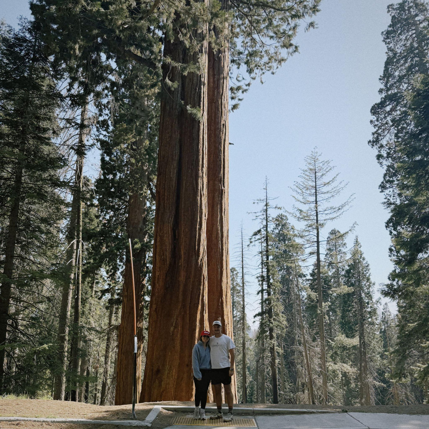 Sequoia National Park, CA - 2026
