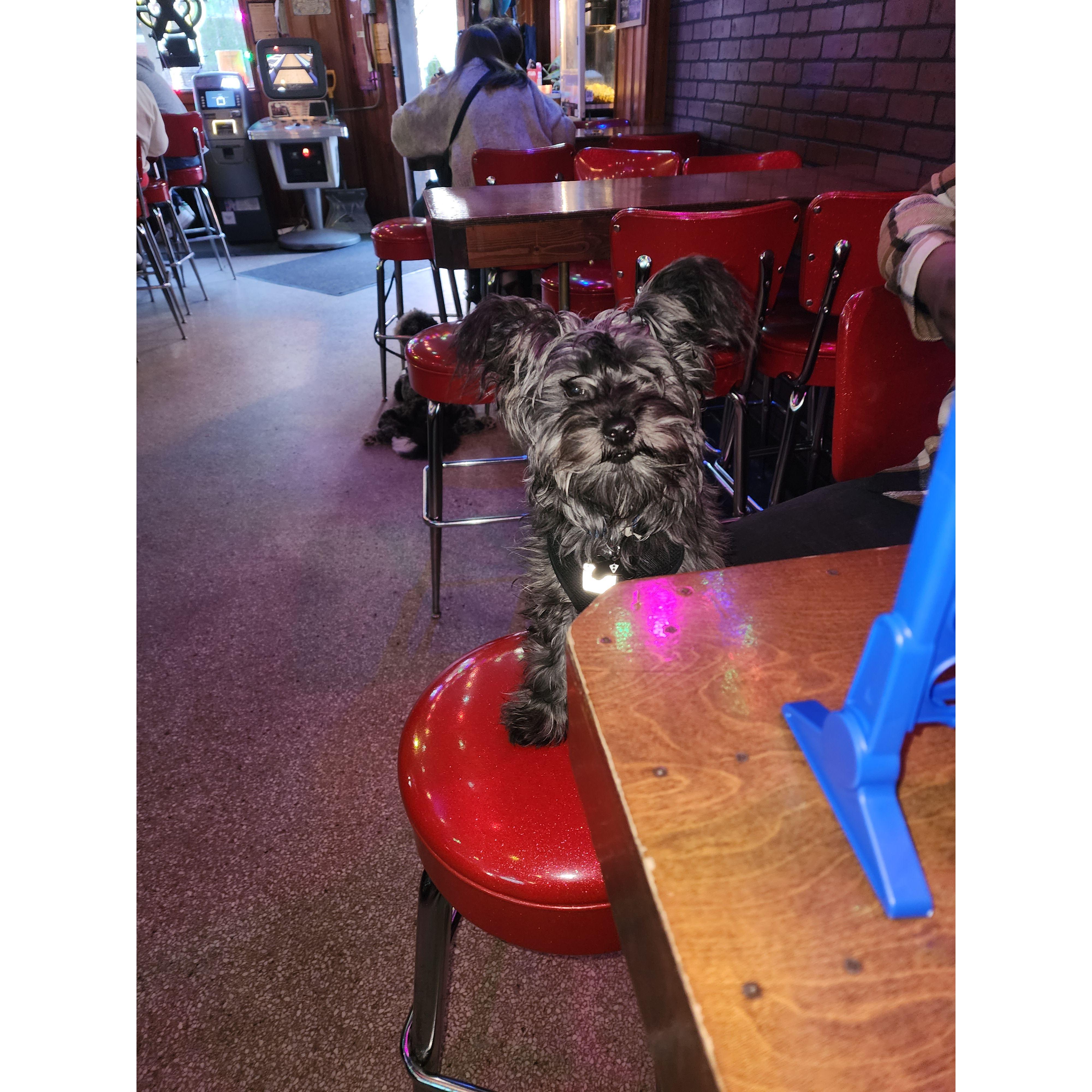 Us with Sebi at a dog bar