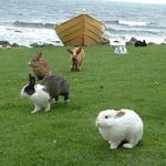 White Point Beach Resort