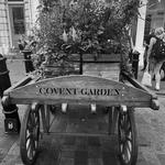 Covent Garden