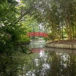 Duke Gardens