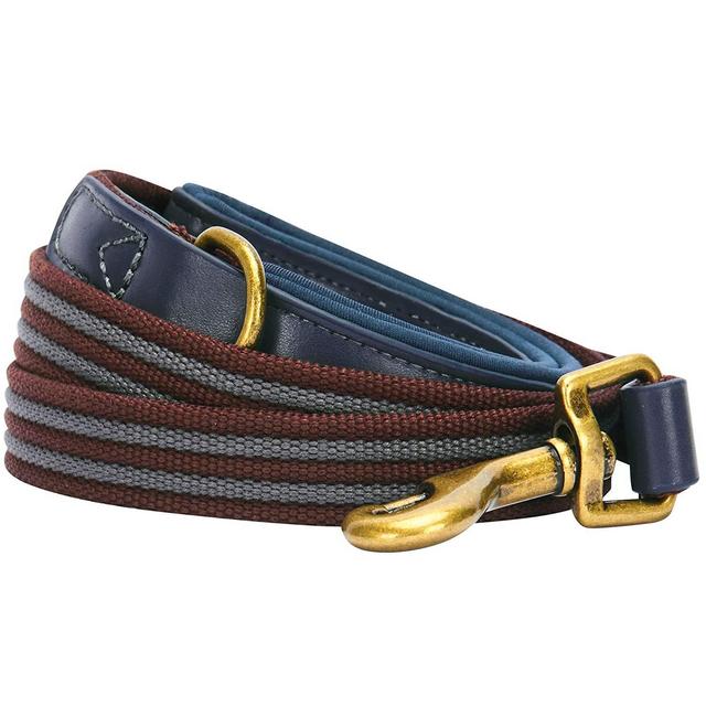 Blueberry Pet 8 Colors 3M Reflective Multi-Colored Stripe Dog Leash, 6 Colors Classic Staple Striped Genuine Leather and Polyester Webbing Dog Leash, Matching Collar & Harness Available Separately