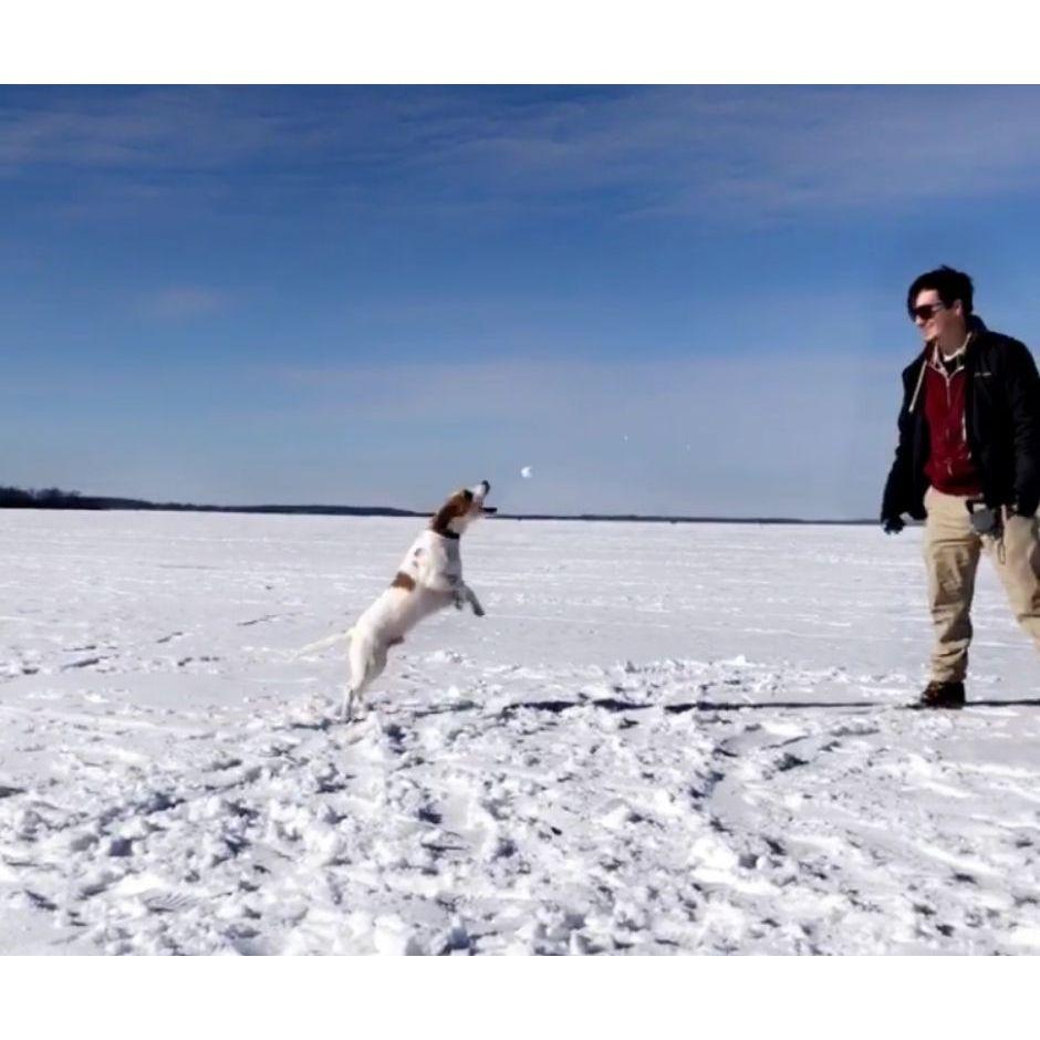Bagel playing on Lake Mendota