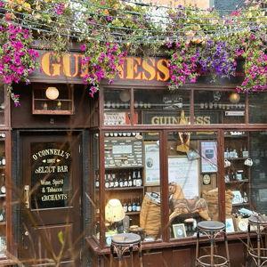 Round of Beers at a Pub in Ireland