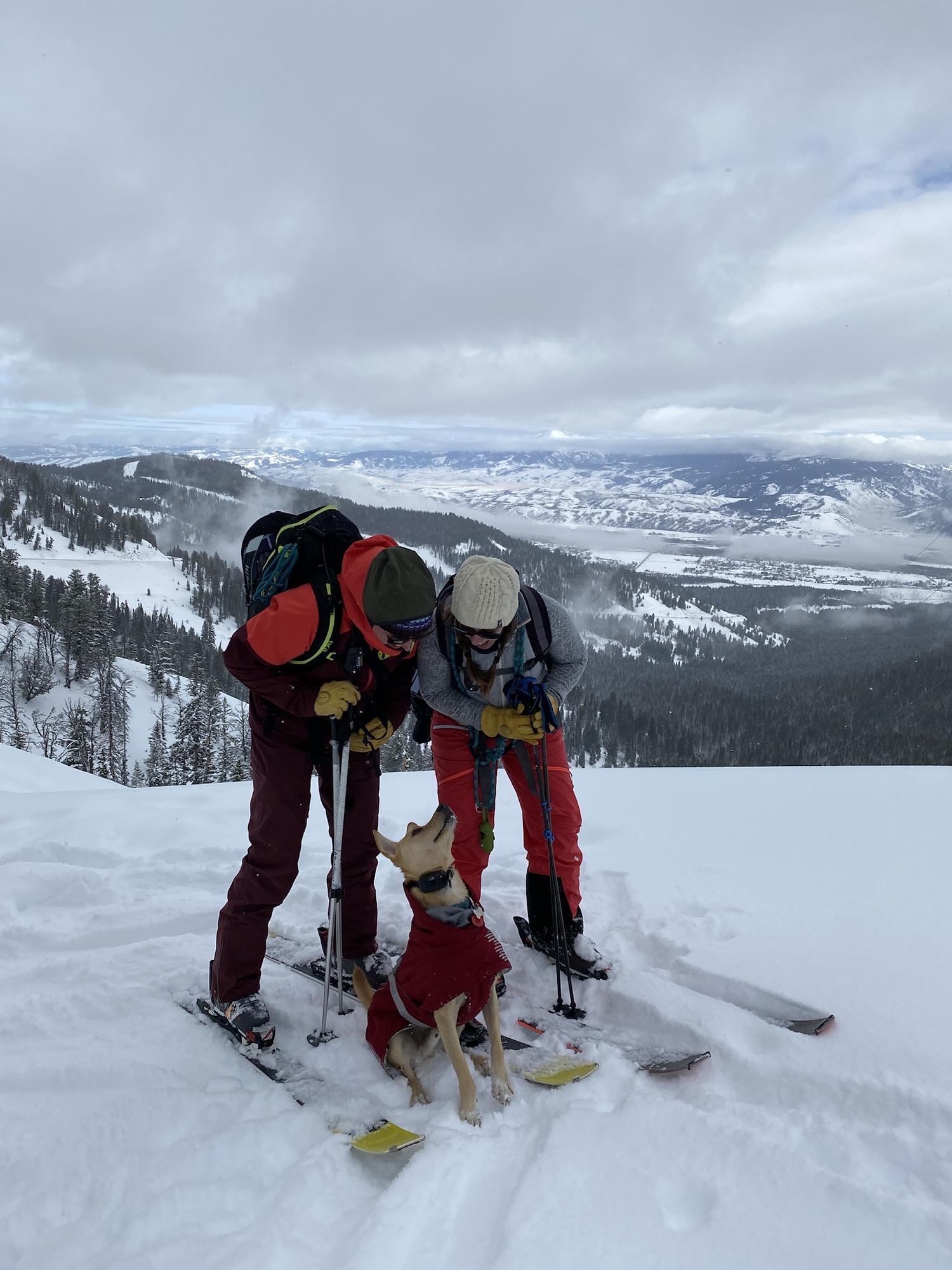 One of Annie and Emma's favorite things to do is go skiing in Jackson Hole WY, especially when it involves bringing along their furry friends!