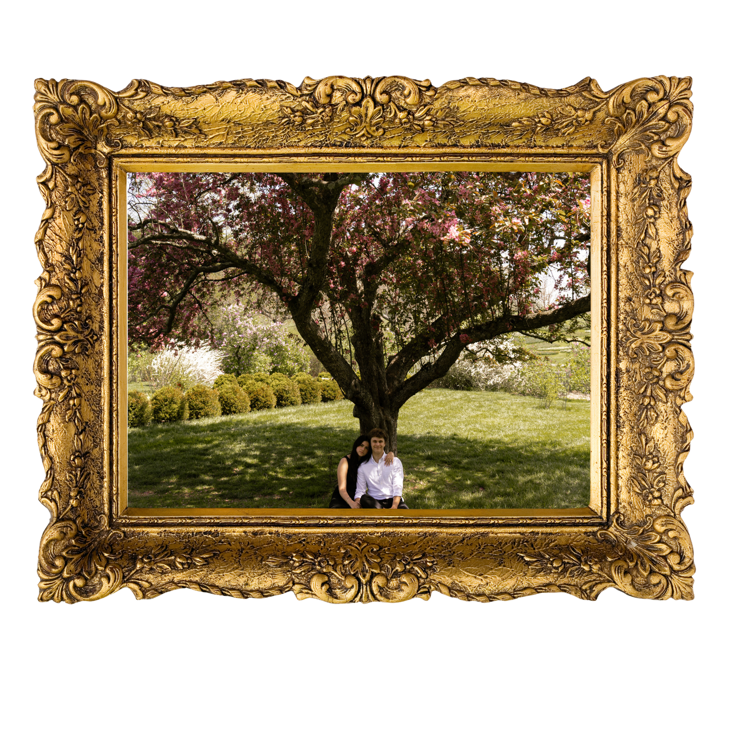 Engagement shoot!