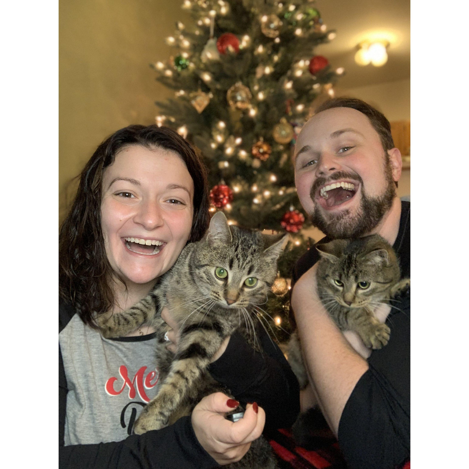 Our first Christmas together, and when we adopted our perfect kittens!