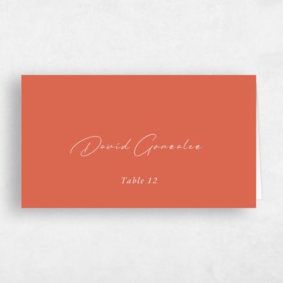 Burnt Orange Wedding Place Card - Seaview