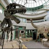 North Carolina Museum of Natural Sciences