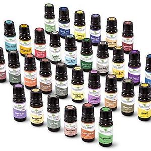 Plant Therapy Top 32 Essential Oil Set in Zippered Portfolio Case 100% Pure, Undiluted, Therapeutic Grade Essential Oils
