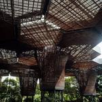Jardín Botánico de Medellín