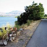 Apple Capital Recreation Loop Trail (Wenatchee)