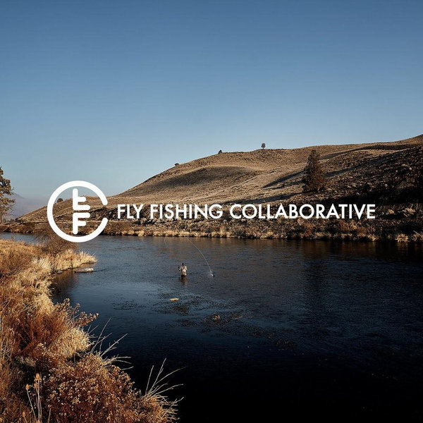 Fly Fishing Collaborative