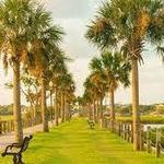 Pitt Street Bridge