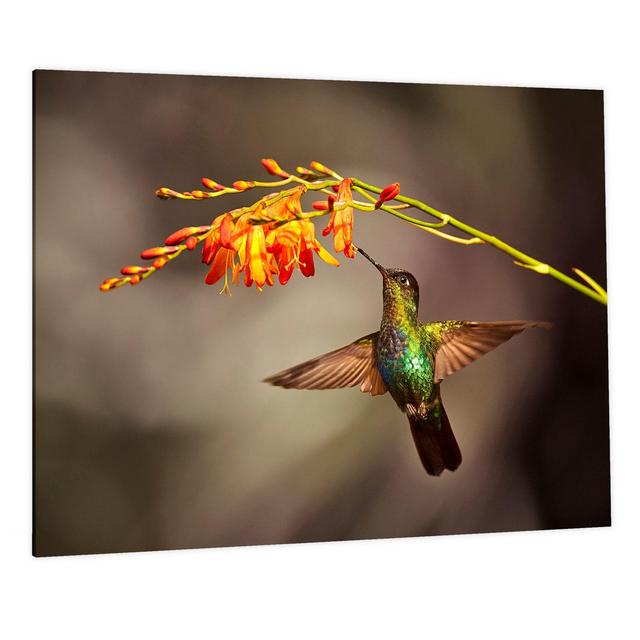 Flutter with Foil 60-Inch x 40-Inch Photographic Tempered Glass Wall Art