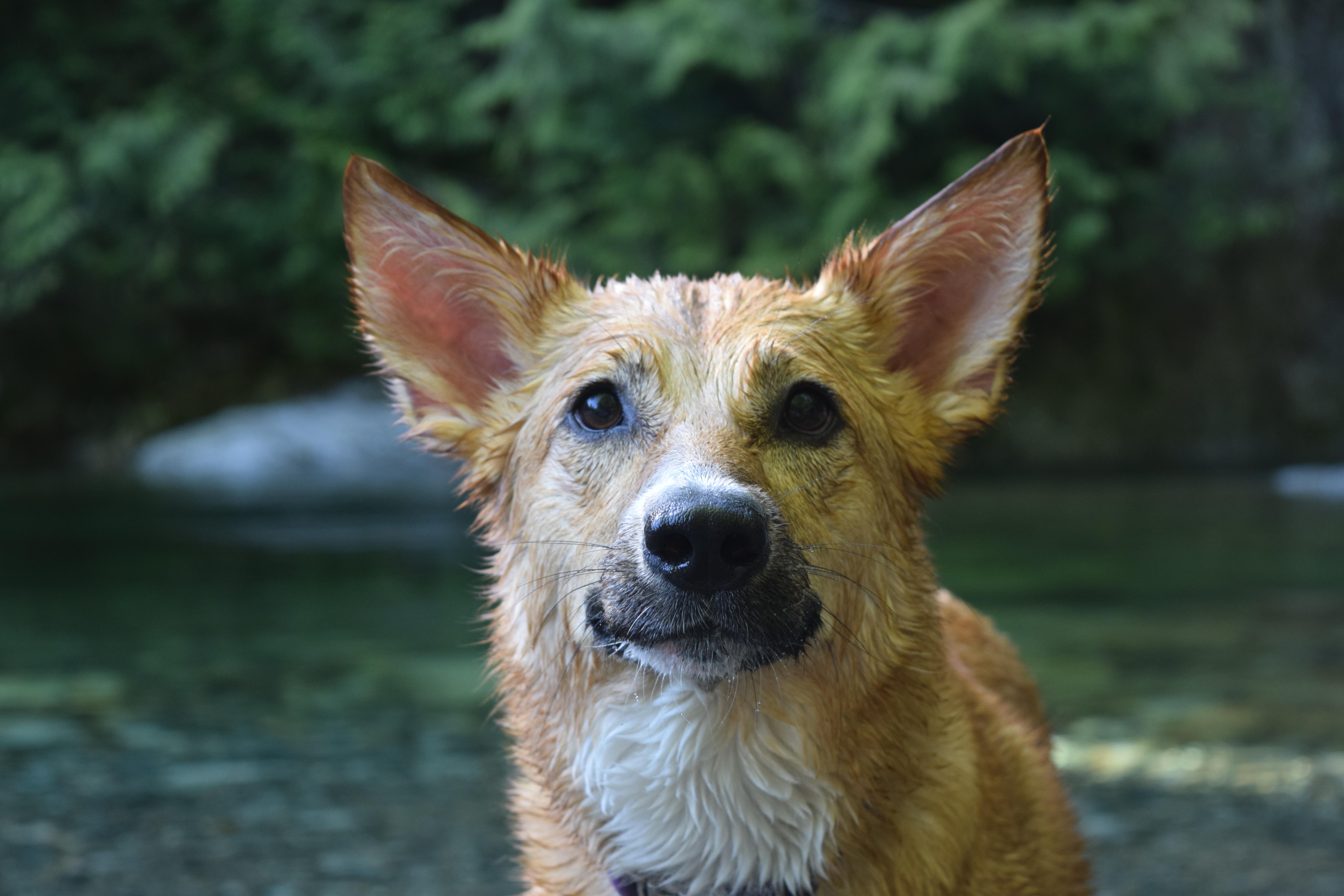 The Wedding Website of Harjot Gill and Jagraj Chatha