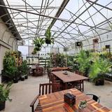 50 East Garden Center & Café